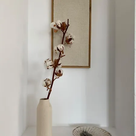 Nyaraló Clepsydra *