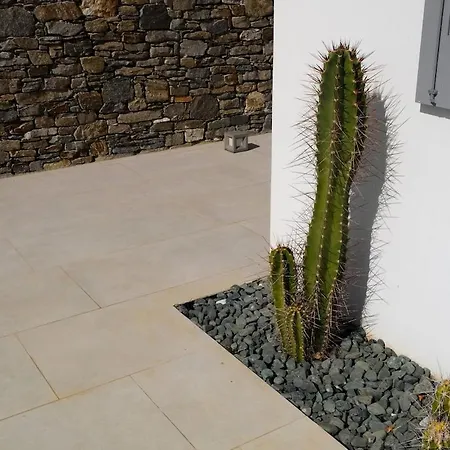 Clepsydra Dom wakacyjny