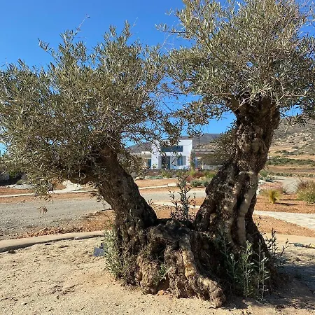 Clepsydra Dom wakacyjny *