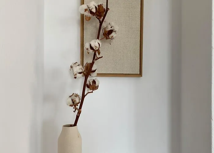 Vakantiehuis Clepsydra *