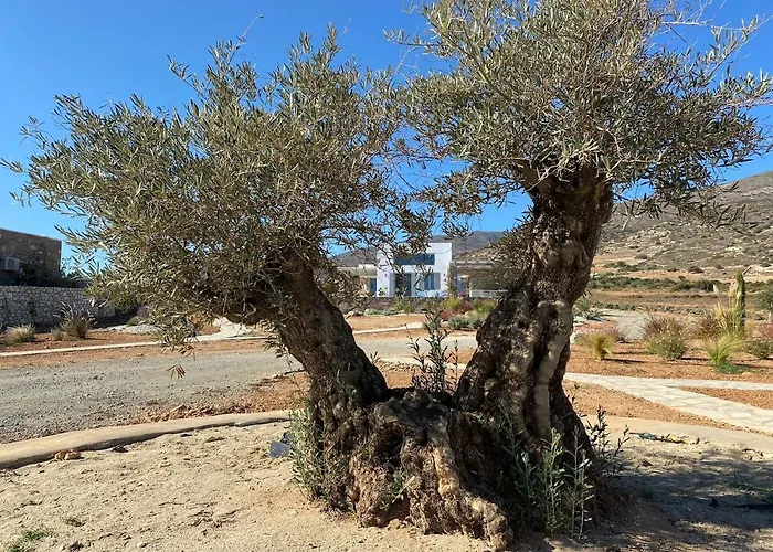 Clepsydra Vakantiehuis *